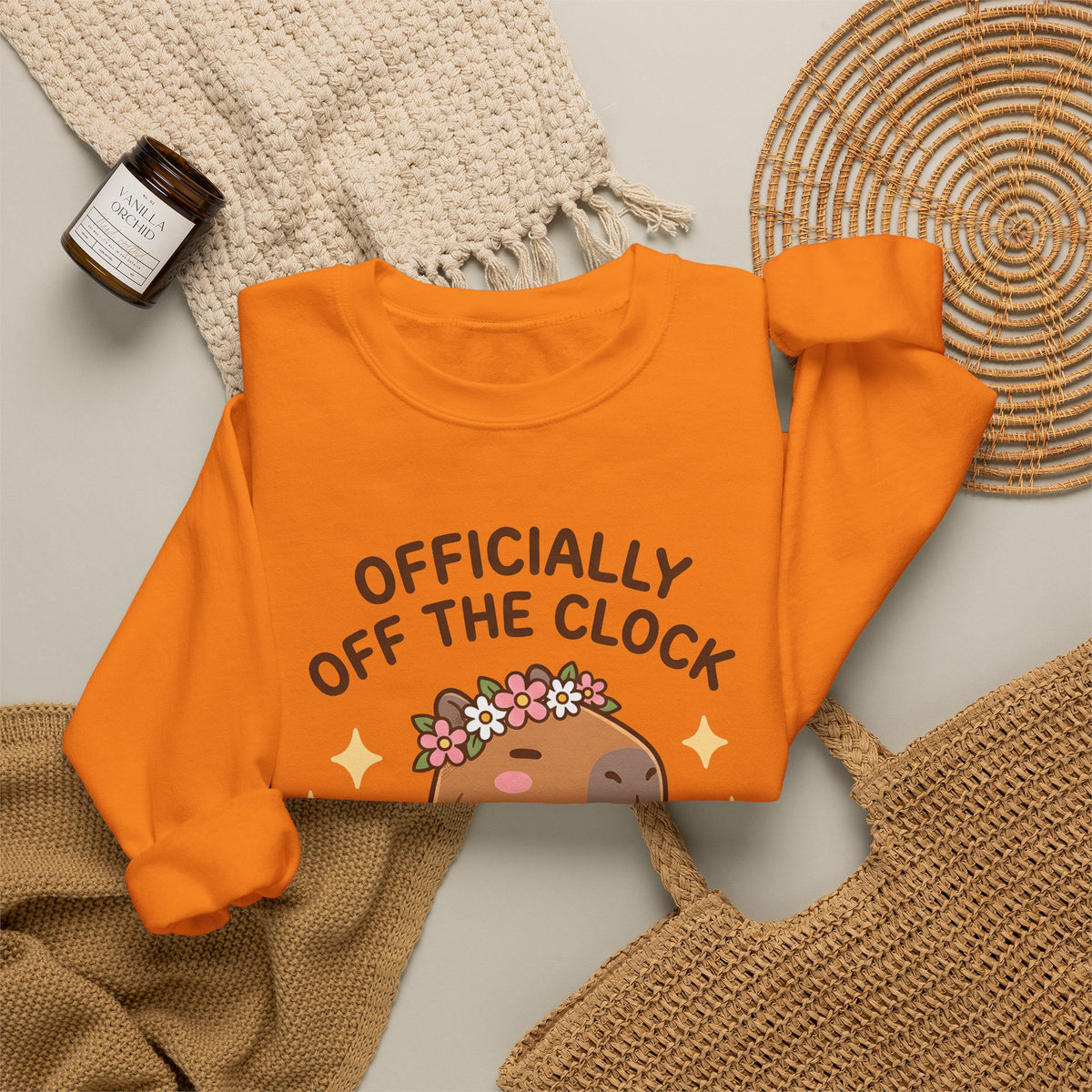 Capybara Coffee Sweatshirt Nurses Animal Gift Women Cute Sweatshirt Coffee Sweatshirt Nurse Enthusiast Adorable Sweatshirt Wildlife Graphic Cartoon Daisies