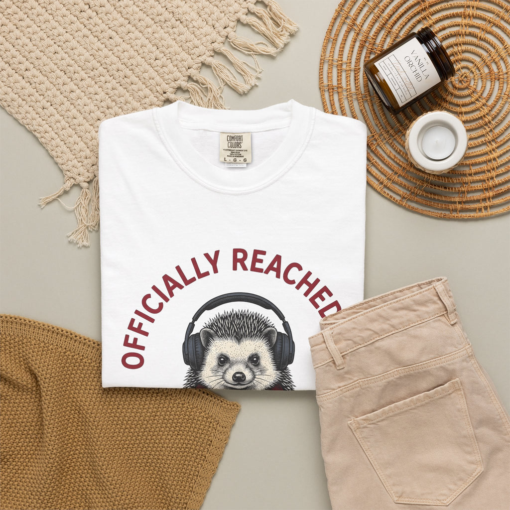 Hedgehog Headphones T-Shirt Moms Animal Gift Women Quirky T-Shirt Earphones T-Shirt Mother Fan Earbud Graphic Retro T-Shirt Vintage T-Shirt T-Shirt