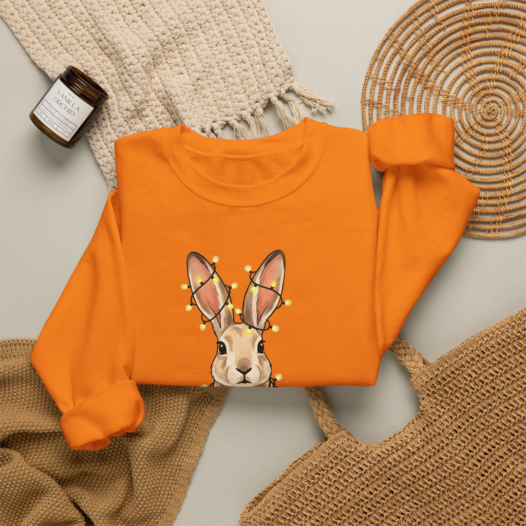 Bunny Sweatshirt Animals Holiday Gift Women Cute Sweatshirt Rabbit Sweatshirt Pet Fan Cute Sweatshirt Christmas Graphic Hand Drawn String Lights Sweatshirt