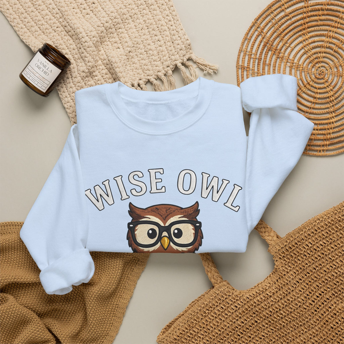 Owl Glasses Sweatshirt Teachers Education Gift Women Cartoon Sweatshirt Spectacles Sweatshirt Educator Enthusiast Comic Sweatshirt Learning Graphic Vintage