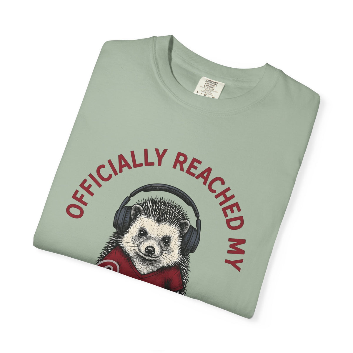 Hedgehog Headphones T-Shirt Moms Animal Gift Women Quirky T-Shirt Earphones T-Shirt Mother Fan Earbud Graphic Retro T-Shirt Vintage T-Shirt T-Shirt