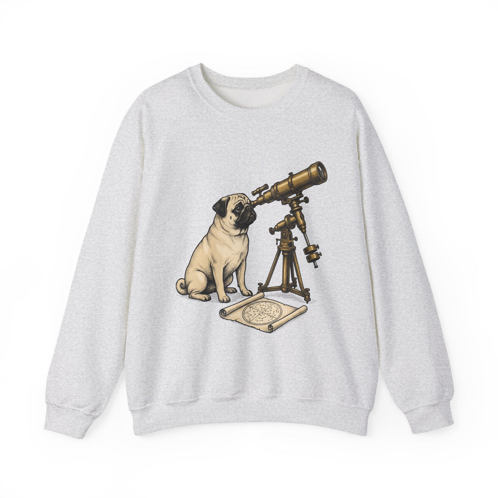 Pug Puppy Sweatshirt Dog Space Gift Women Retro Sweatshirt Puppy Sweatshirt Dog Fan Canine Sweatshirt Vintage Graphic Astronomy Illustration Sketch Binoculars