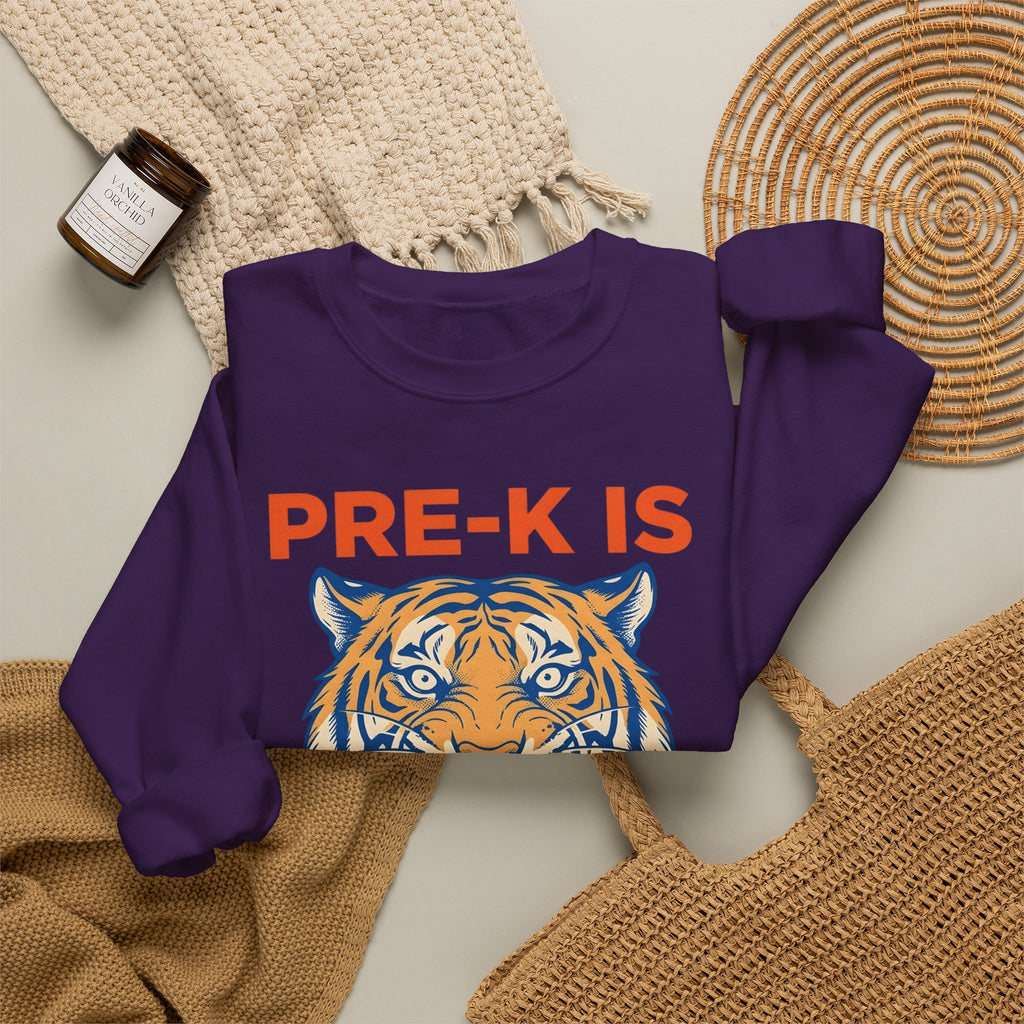 Tiger Head Teachers Classroom Gift Modern Tiger Educator Enthusiast Sweatshirt