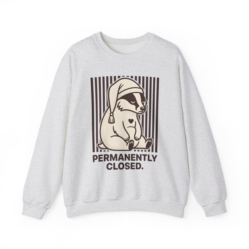 Dozing Badger Sweatshirt Funny Mammal Gift Women Cartoon Sweatshirt Badger Sweatshirt Humor Fan Comic Sweatshirt Wildlife Graphic Hand Drawn Bedtime Hat Sweatshirt