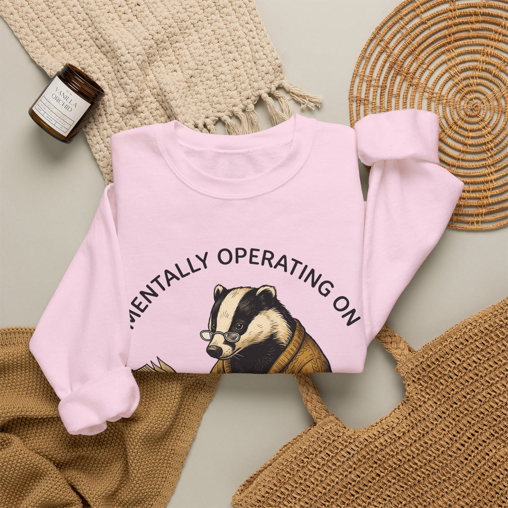 Badger Pullover Sweatshirt Funny Wildlife Gift Women Sketch Sweatshirt Badger Sweatshirt Humor Fan Drawing Graphic Retro Novel Sweatshirt