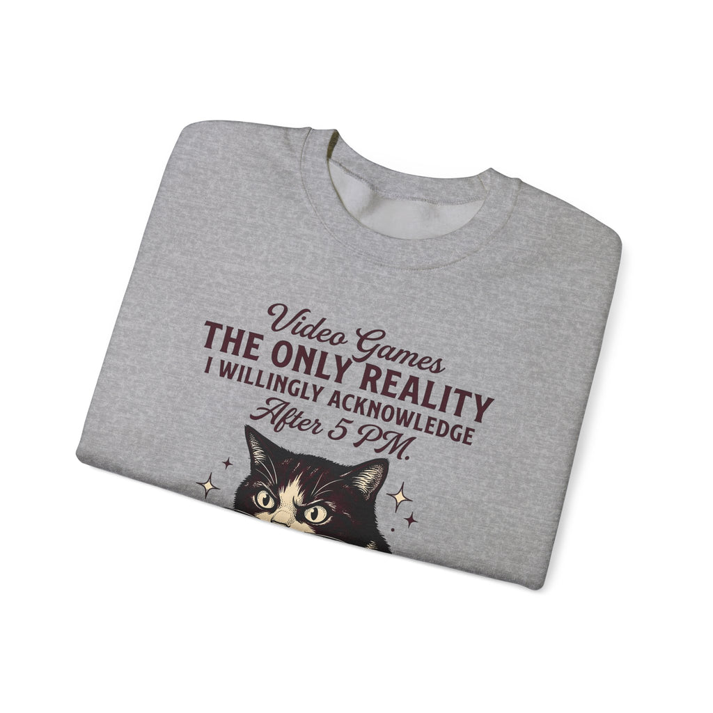 Cat Gamer Sweatshirt Cat Consoles Gift Women Cartoon Sweatshirt Gamer Sweatshirt Cat Fan Feline Sweatshirt Console Graphic Doodle Joystick Sweatshirt