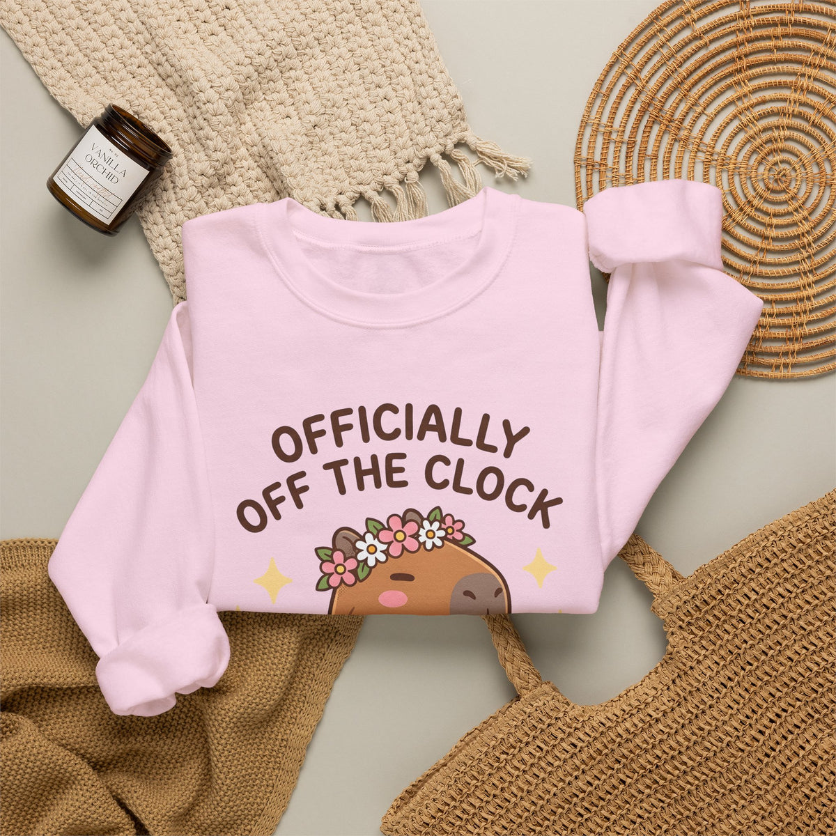 Capybara Coffee Sweatshirt Nurses Animal Gift Women Cute Sweatshirt Coffee Sweatshirt Nurse Enthusiast Adorable Sweatshirt Wildlife Graphic Cartoon Daisies