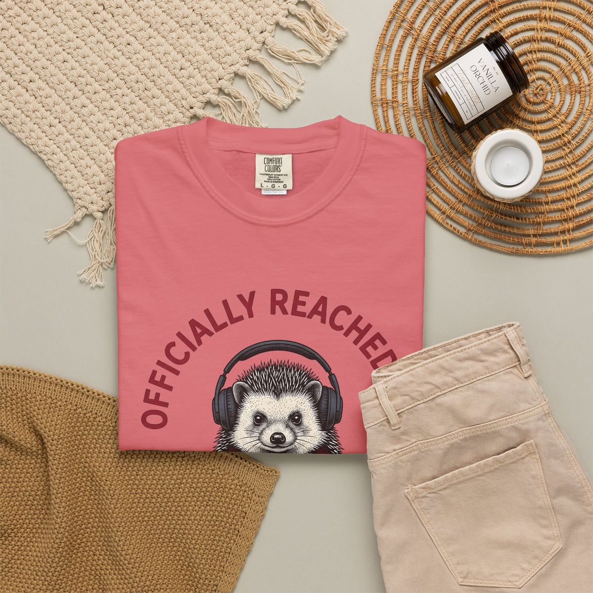 Hedgehog Headphones T-Shirt Moms Animal Gift Women Quirky T-Shirt Earphones T-Shirt Mother Fan Earbud Graphic Retro T-Shirt Vintage T-Shirt T-Shirt