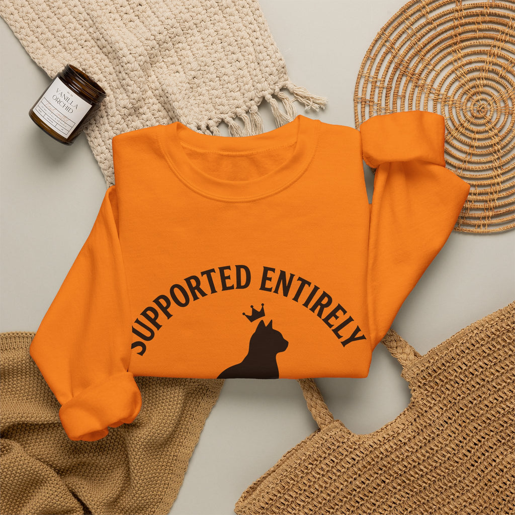 Cat Outline Sweatshirt Cat Animal Gift Women Simple Sweatshirt Kitten Sweatshirt Cat Fan Feline Sweatshirt Creature Graphic Retro Tiara Sweatshirt