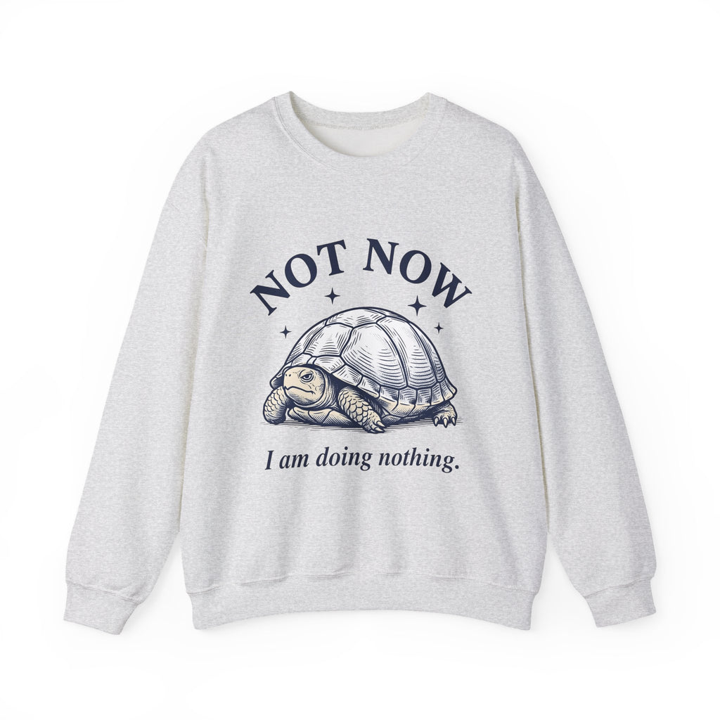 Turtle Graphic Sweatshirt Funny Animal Gift Women Vintage Sweatshirt TorTurtle Sweatshirt Humor Fan Retro Sweatshirt Wildlife Graphic Hand Drawn Stars Sweatshirt