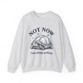 Turtle Graphic Sweatshirt Funny Animal Gift Women Vintage Sweatshirt TorTurtle Sweatshirt Humor Fan Retro Sweatshirt Wildlife Graphic Hand Drawn Stars Sweatshirt