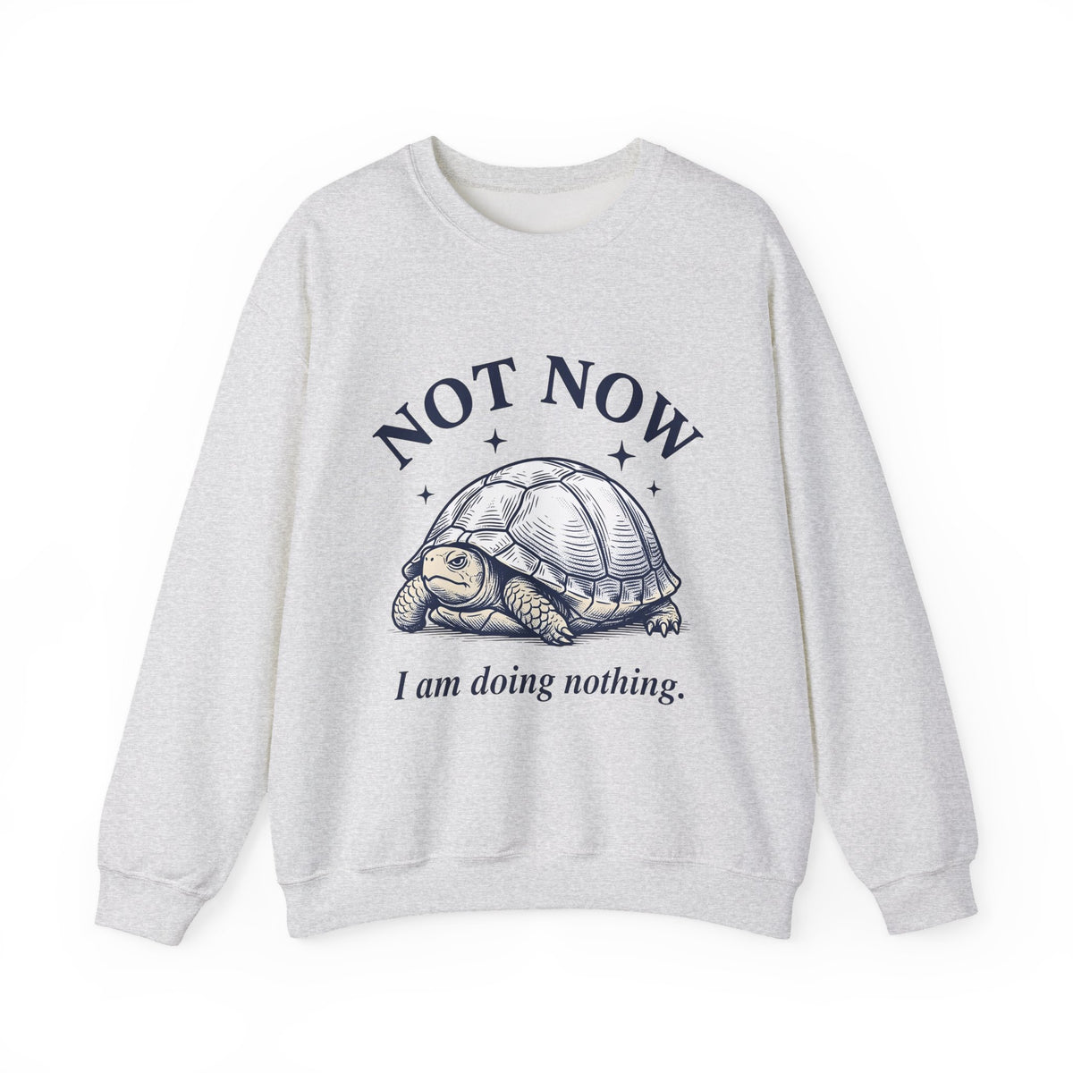 Turtle Graphic Sweatshirt Funny Animal Gift Women Vintage Sweatshirt TorTurtle Sweatshirt Humor Fan Retro Sweatshirt Wildlife Graphic Hand Drawn Stars Sweatshirt