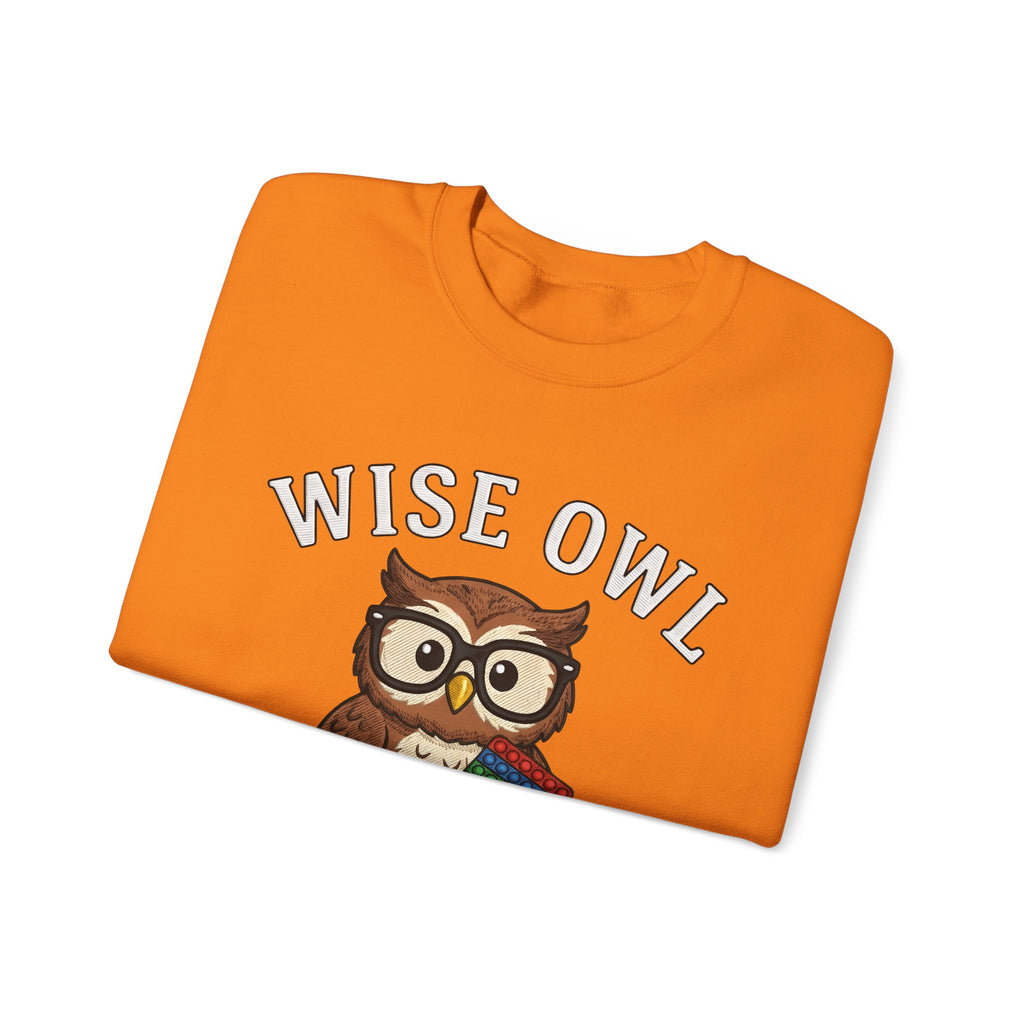 Owl Glasses Sweatshirt Teachers Education Gift Women Cartoon Sweatshirt Spectacles Sweatshirt Educator Enthusiast Comic Sweatshirt Learning Graphic Vintage
