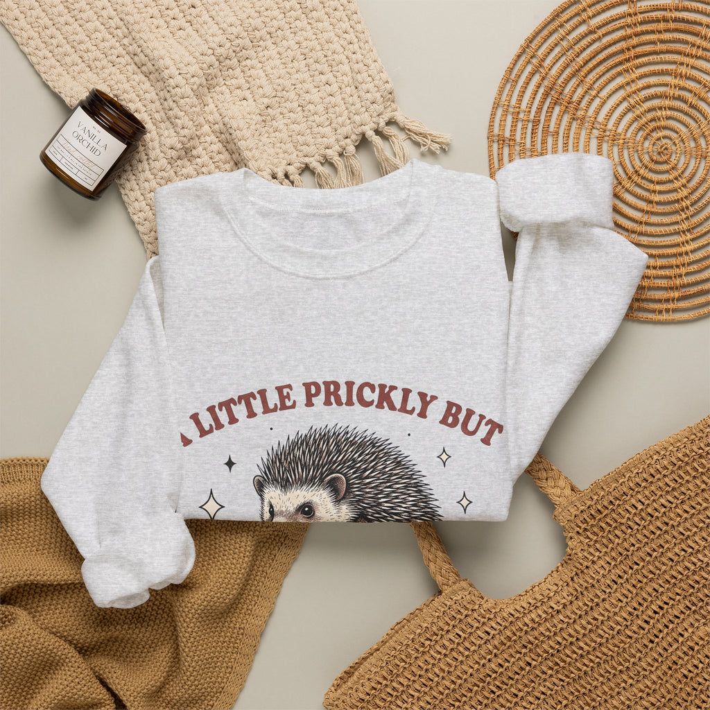Hedgehog Design Sweatshirt Funny Pet Gift Women Cartoon Sweatshirt Porcupine Sweatshirt Comedy Fan Quirky Sweatshirt Animal Graphic Rustic Star Icons Sweatshirt