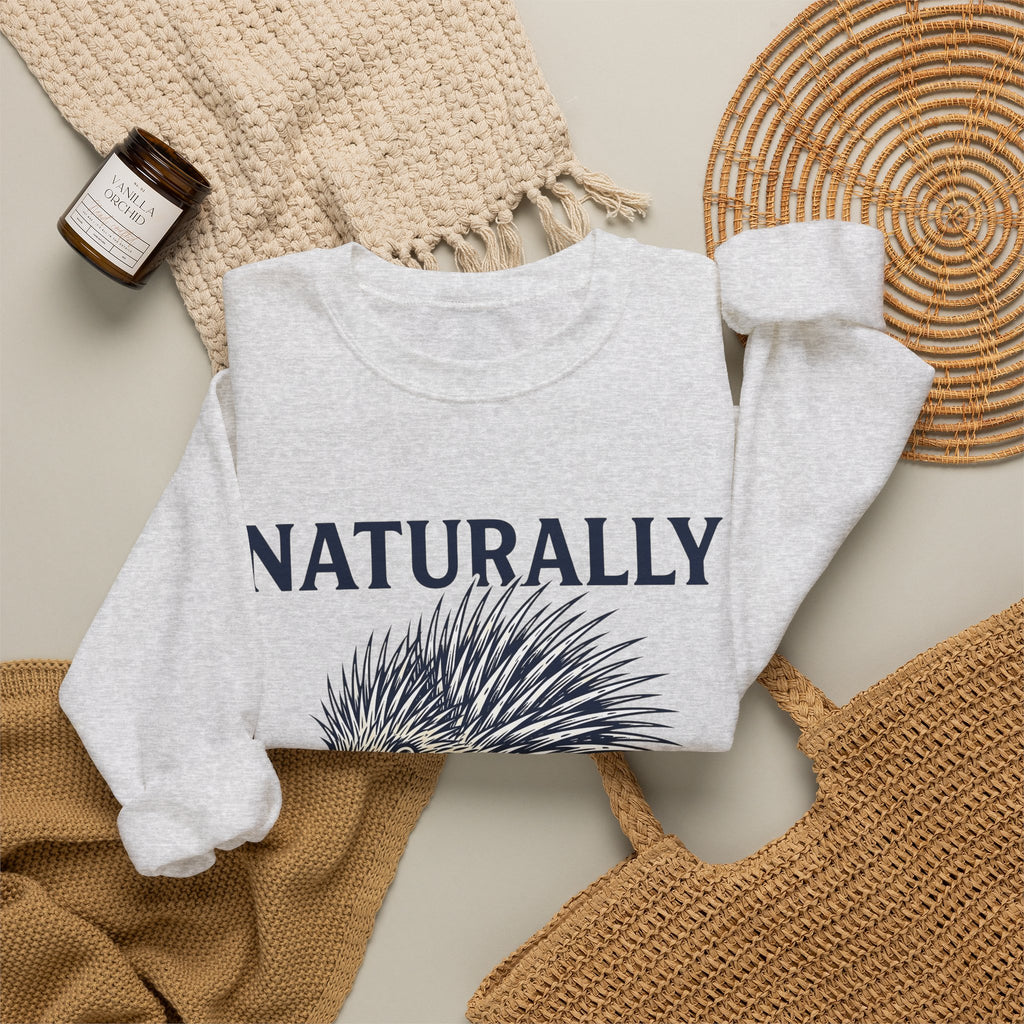 Porcupine Sweatshirt Animal Pun Humor Gift Women Hand Drawn Sweatshirt Hedgehog Sweatshirt Pun Fan Hand Drawn Sweatshirt Funny Graphic Vintage Quills Sweatshirt
