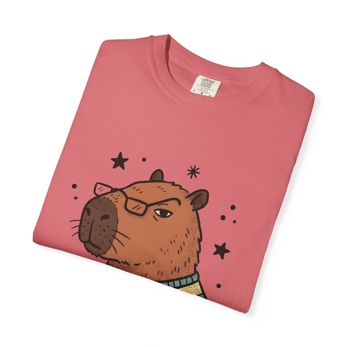Capybara Specs T-Shirt Funny Fauna Gift Women Caricature T-Shirt Rodent T-Shirt Humor Fan Cartoon T-Shirt Wildlife Graphic Line Art Jumper T-Shirt