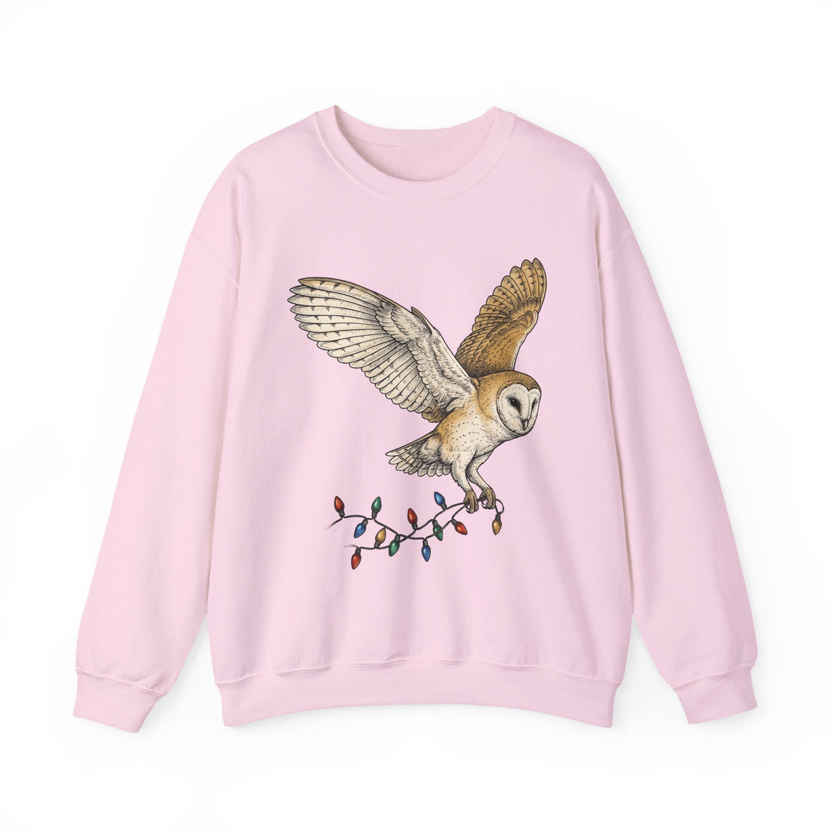 Barn Owl Sweatshirt Christmas Pets Gift Women Cartoon Sweatshirt Owl Sweatshirt Xmas Fan Owl Sweatshirt Animal Graphic Classic Globe Lights Sweatshirt