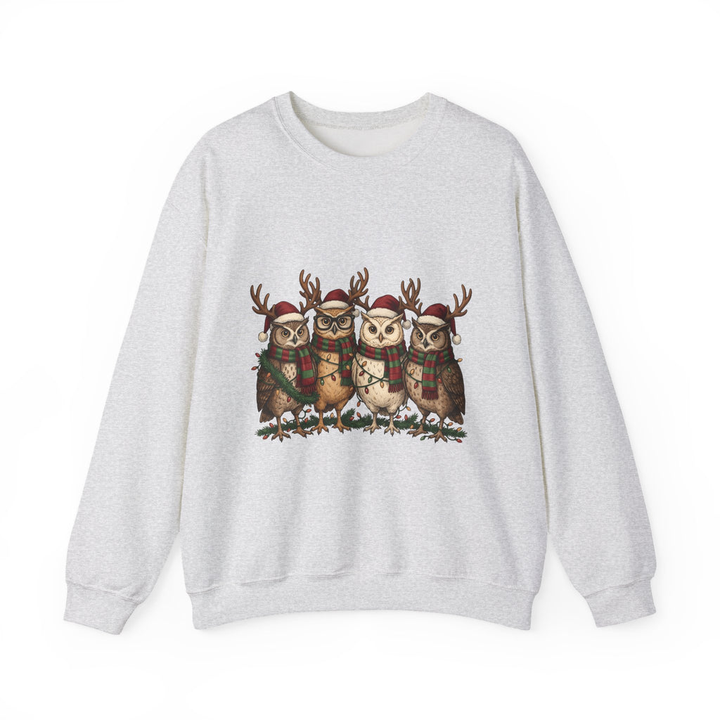 Owl Pack Sweatshirt Christmas Pets Gift Women Line Art Sweatshirt Owl Sweatshirt Xmas Fan Owl Hoot Graphic Illustration Led Lights Sweatshirt