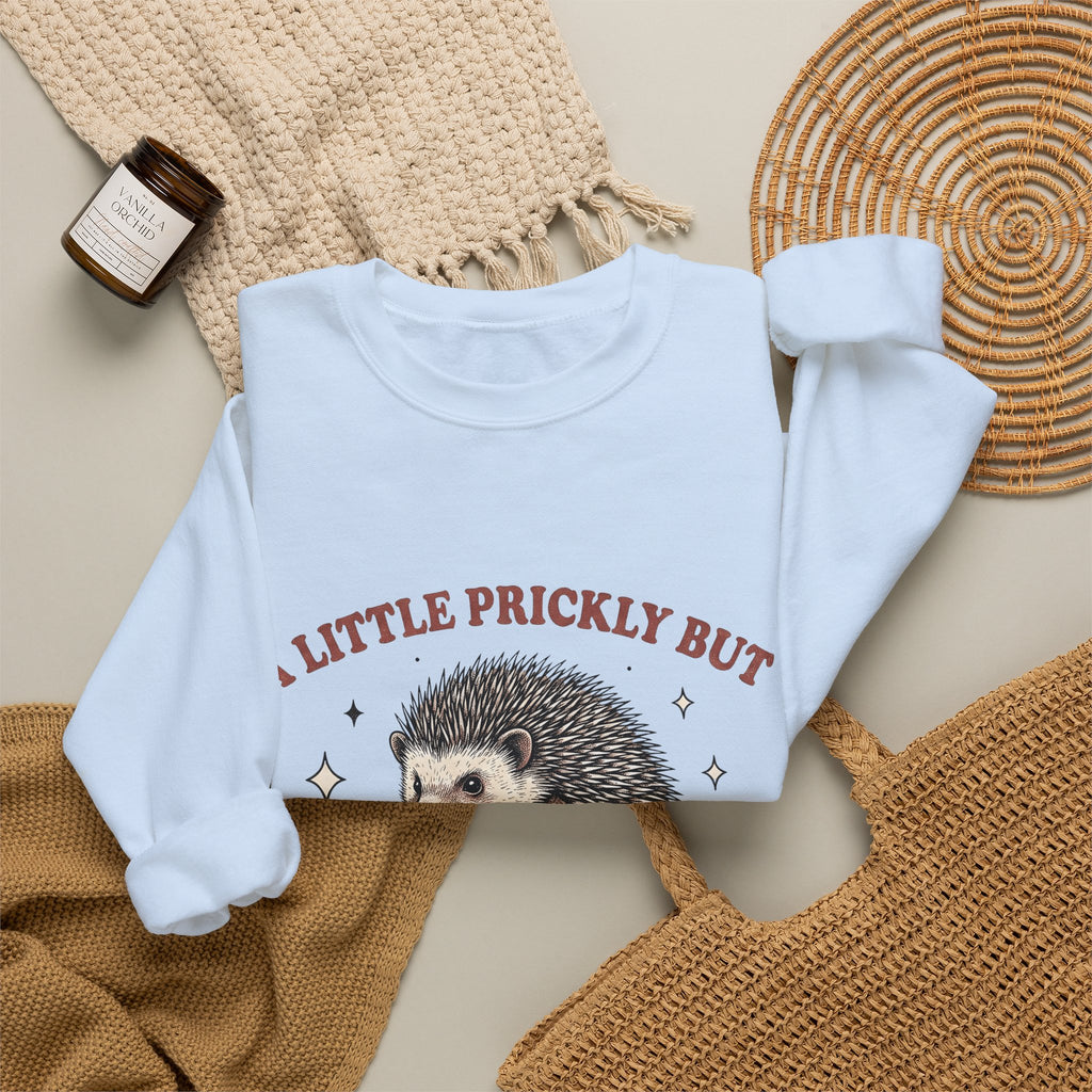Hedgehog Design Sweatshirt Funny Pet Gift Women Cartoon Sweatshirt Porcupine Sweatshirt Comedy Fan Quirky Sweatshirt Animal Graphic Rustic Star Icons Sweatshirt