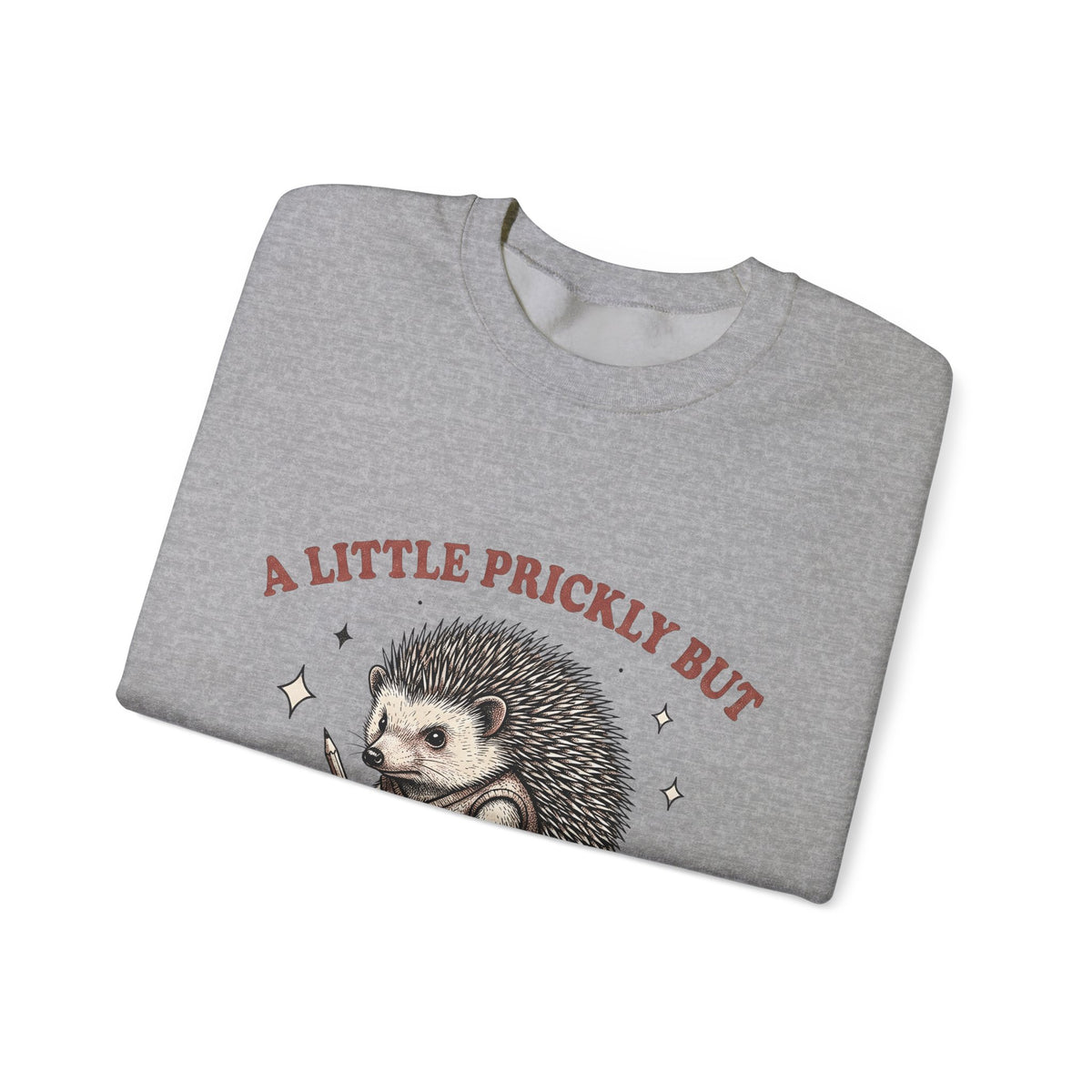 Hedgehog Design Sweatshirt Funny Pet Gift Women Cartoon Sweatshirt Porcupine Sweatshirt Comedy Fan Quirky Sweatshirt Animal Graphic Rustic Star Icons Sweatshirt