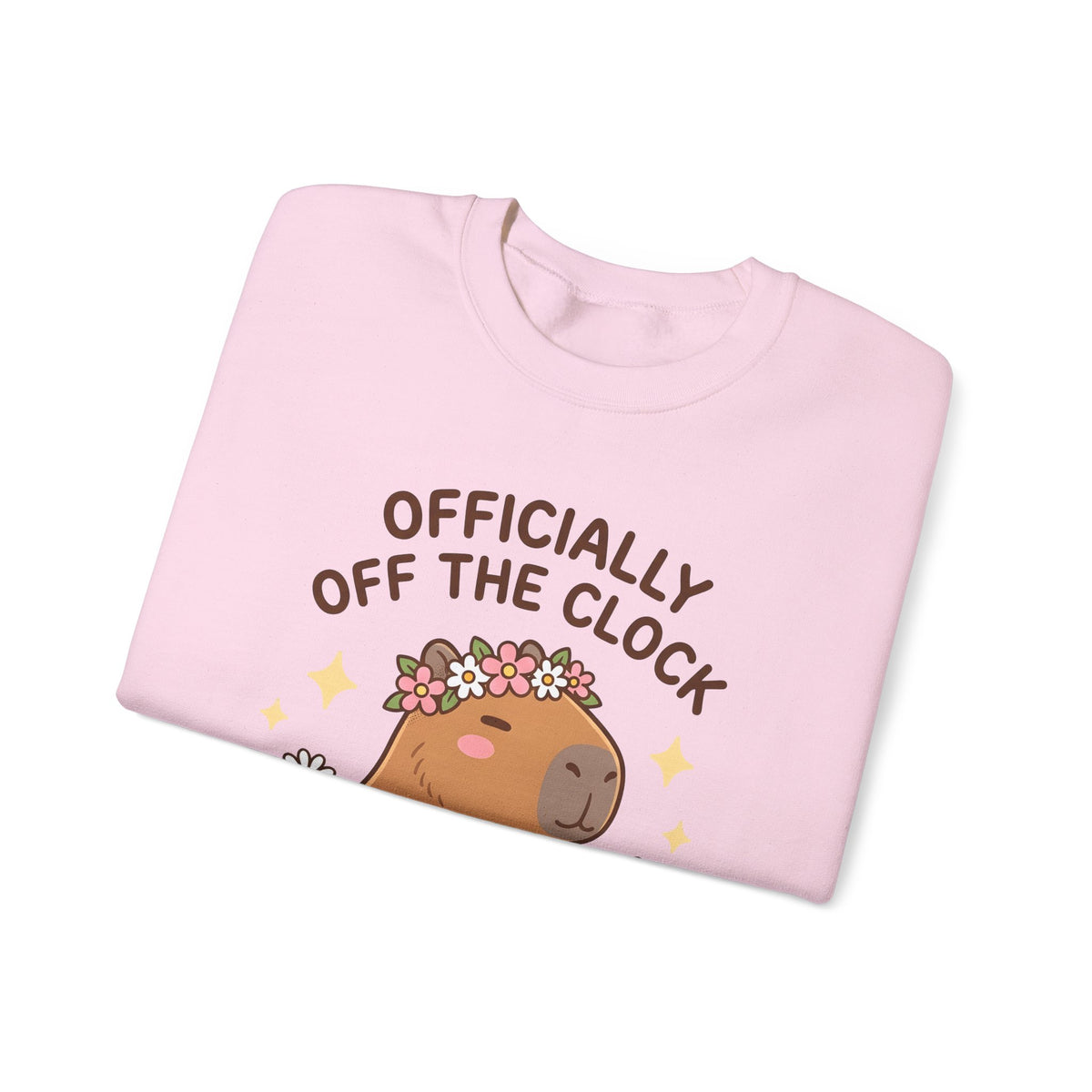 Capybara Coffee Sweatshirt Nurses Animal Gift Women Cute Sweatshirt Coffee Sweatshirt Nurse Enthusiast Adorable Sweatshirt Wildlife Graphic Cartoon Daisies