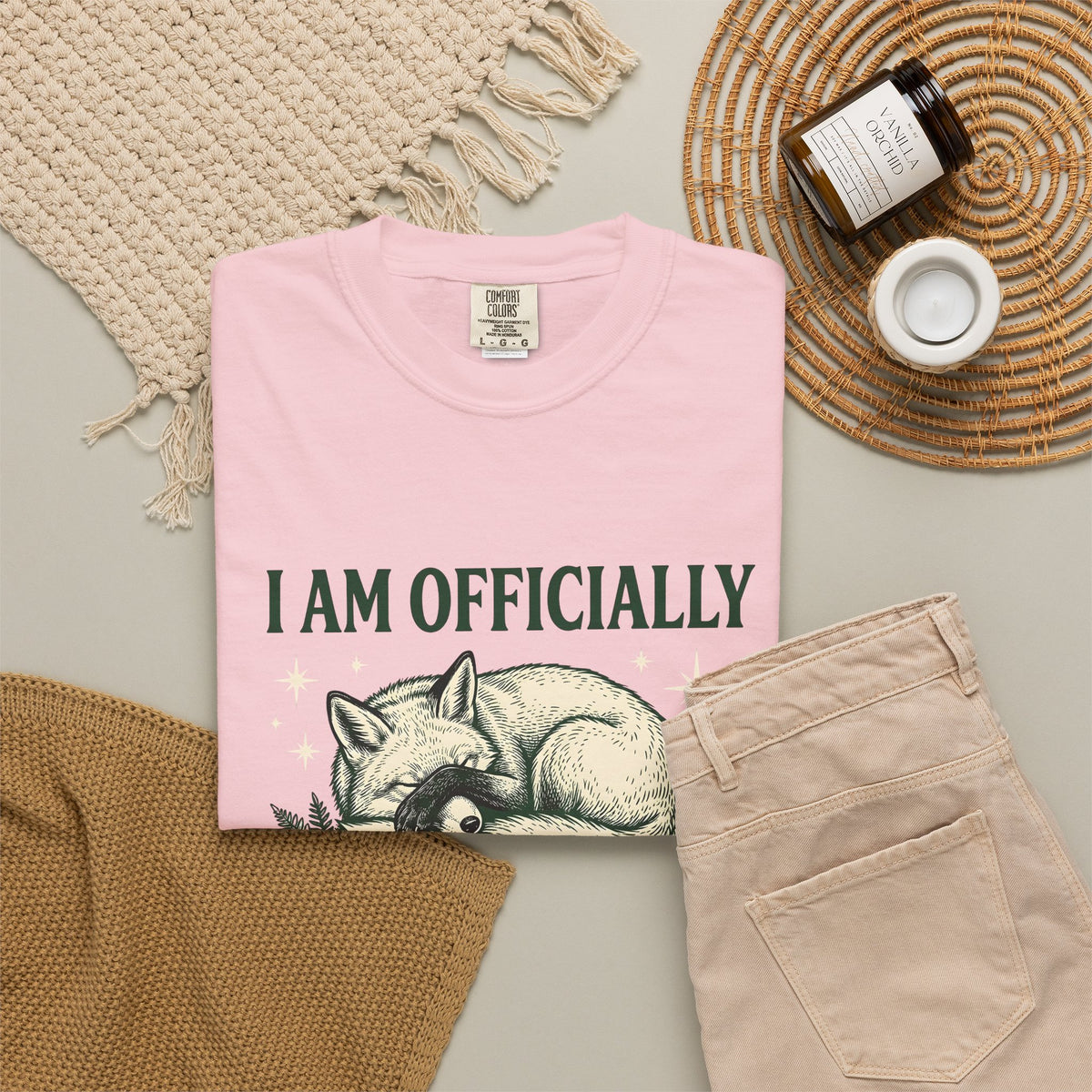 Resting Fox Funny Wildlife Gift Sketch Fox Humor Fan Drawing Retro Star Shapes T-Shirt