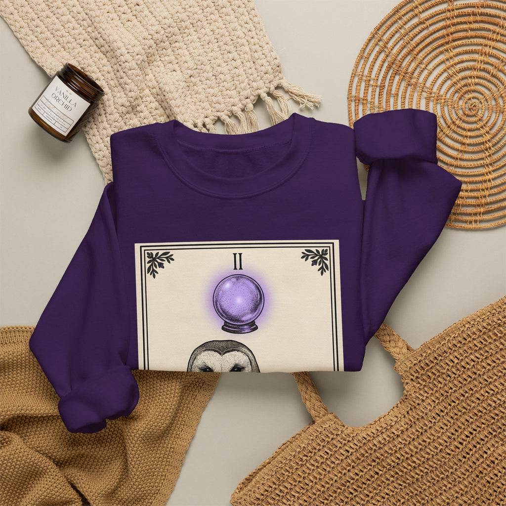 Barn Owl Sweatshirt Boho Chic Magic Gift Women Oracle Sweatshirt Owl Sweatshirt Bohemian Fan Mystic Sweatshirt Magical Graphic Hand Drawn Glass Sphere Sweatshirt
