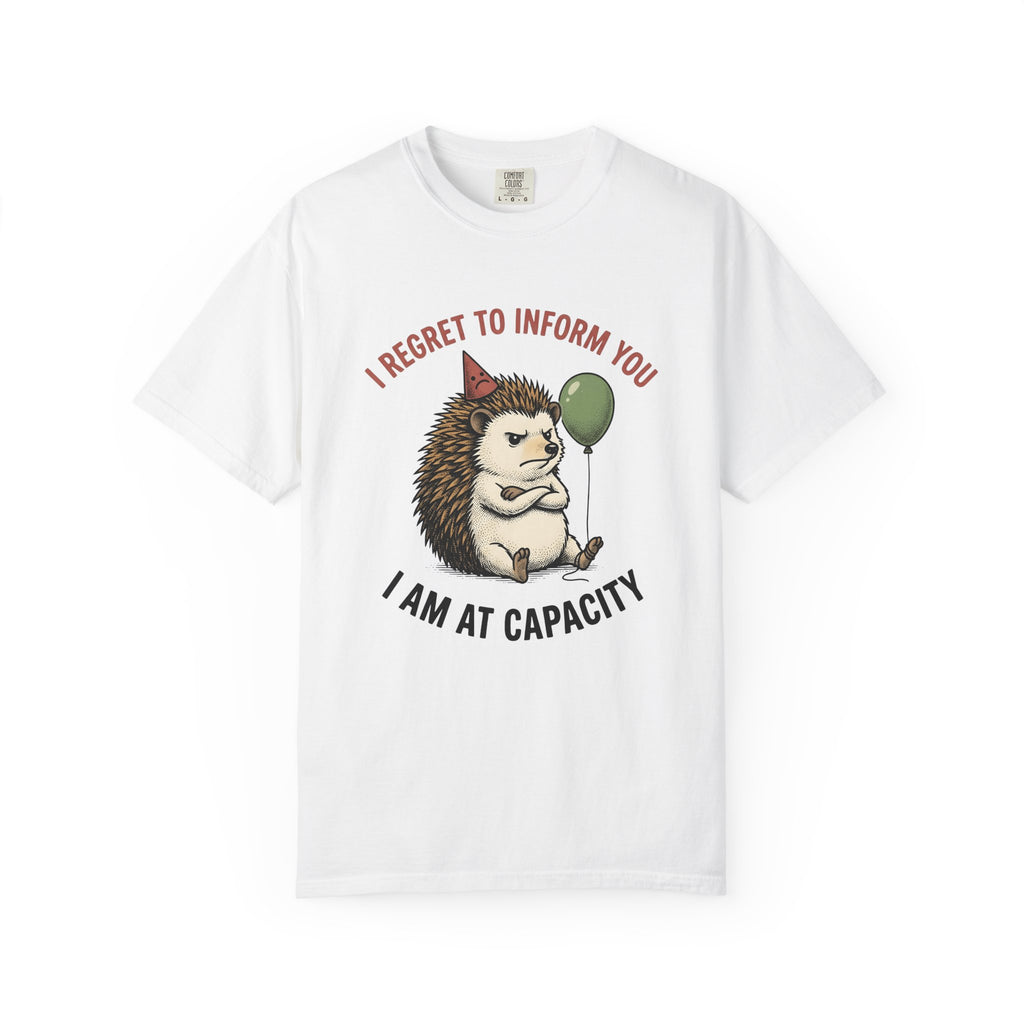 Hedgehog Art T-Shirt Funny Creatures Gift Women Whimsical T-Shirt Porcupine T-Shirt Humor Fan Cartoon T-Shirt Animal Graphic Sketch Balloon T-Shirt