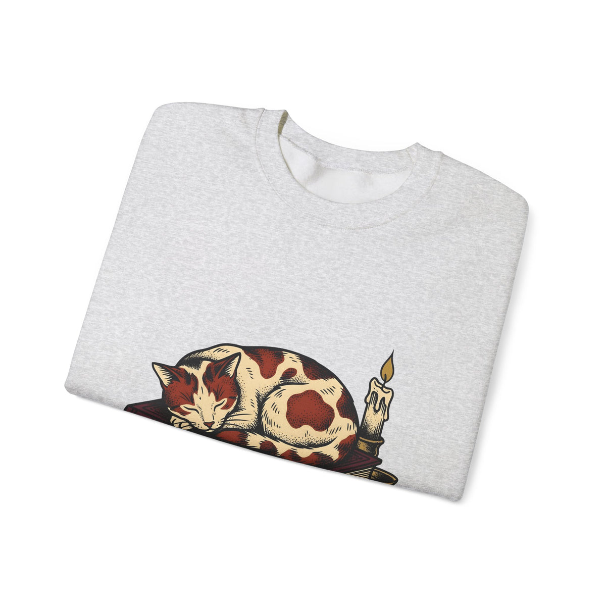 Dozing Cat Cat Pages Gift Old Fashioned Kitten Cat Fan Vintage Book Ink Stories Sweatshirt