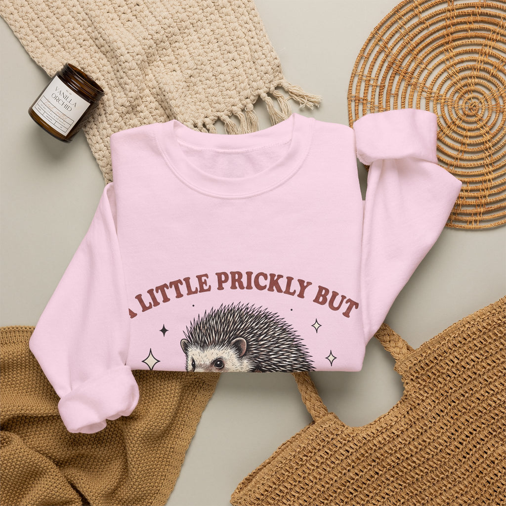 Hedgehog Design Sweatshirt Funny Pet Gift Women Cartoon Sweatshirt Porcupine Sweatshirt Comedy Fan Quirky Sweatshirt Animal Graphic Rustic Star Icons Sweatshirt