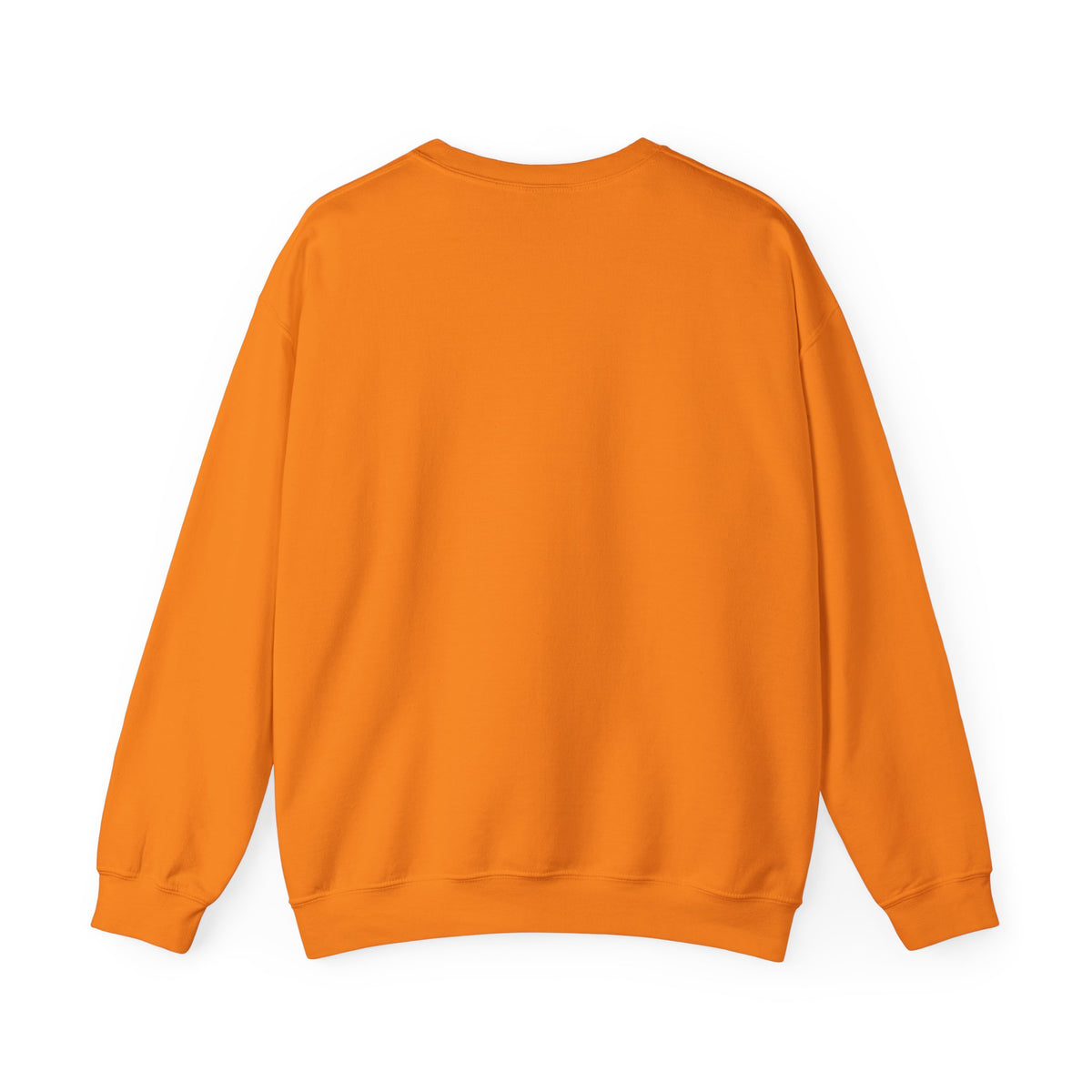 Moth Lantern Sweatshirt Vintage Critter Gift Women Retro Sweatshirt Lantern Sweatshirt Antique Fan Vintage Sweatshirt Creature Graphic Line Art Old-Fashioned