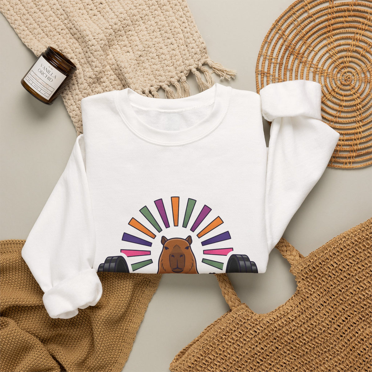 Capybara Gym Training Sweatshirt Sports Pets Gift Women Hand Drawn Sweatshirt Rodent Sweatshirt Athlete Enthusiast Illustrated Pet Graphic Classic Rainbow