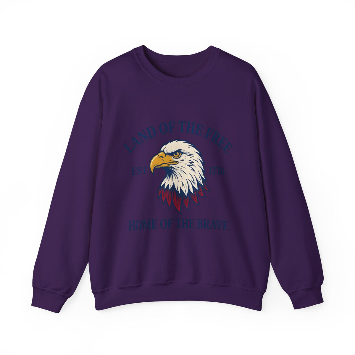 Bald Eagle Sweatshirt America Patriotism Gift Women Line Art Sweatshirt Eagle Sweatshirt American Enthusiast Illustration Graphic Cartoon Patriotic Graphic