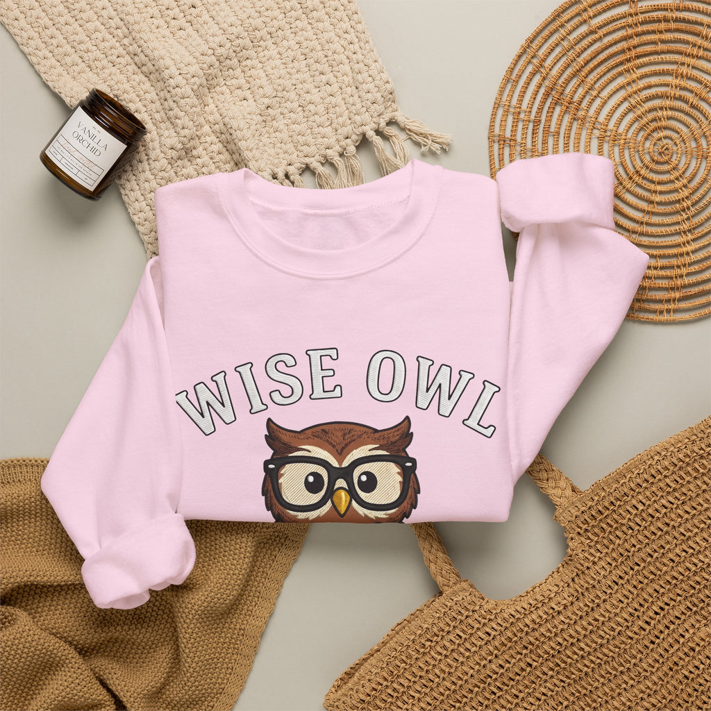 Owl Glasses Sweatshirt Teachers Education Gift Women Cartoon Sweatshirt Spectacles Sweatshirt Educator Enthusiast Comic Sweatshirt Learning Graphic Vintage