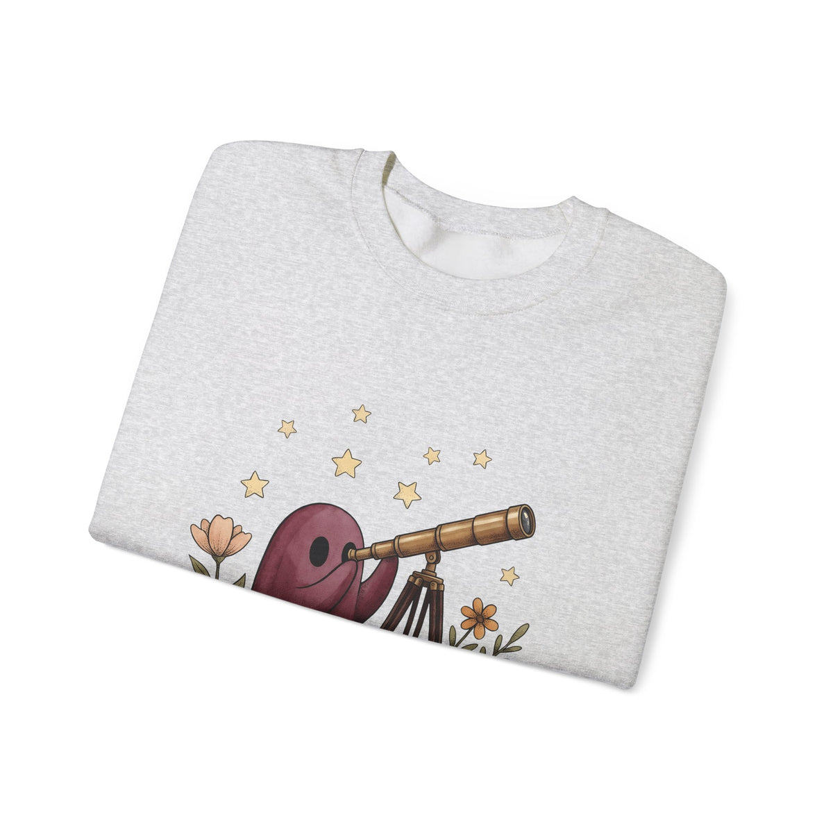 Ghost Telescope Sweatshirt Boho Chic Celestial Gift Women Whimsical Sweatshirt Spyglass Sweatshirt Bohemian Fan Fantasy Sweatshirt Galaxy Graphic Vintage