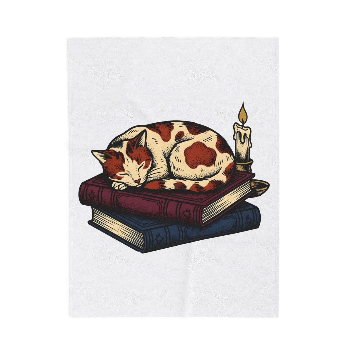 Dozing Cat Cat Pages Gift Old Fashioned Kitten Cat Fan Vintage Book Ink Stories Blanket
