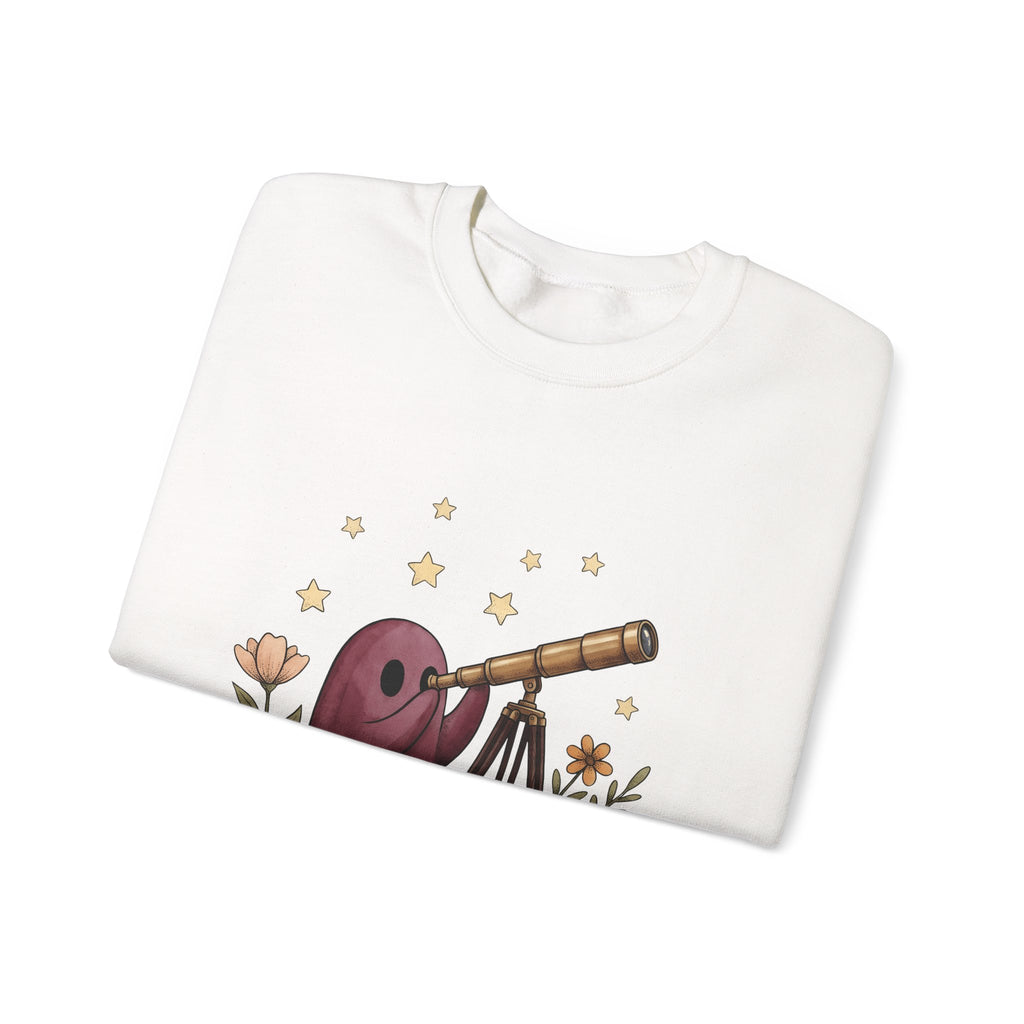Ghost Telescope Sweatshirt Boho Chic Celestial Gift Women Whimsical Sweatshirt Spyglass Sweatshirt Bohemian Fan Fantasy Sweatshirt Galaxy Graphic Vintage