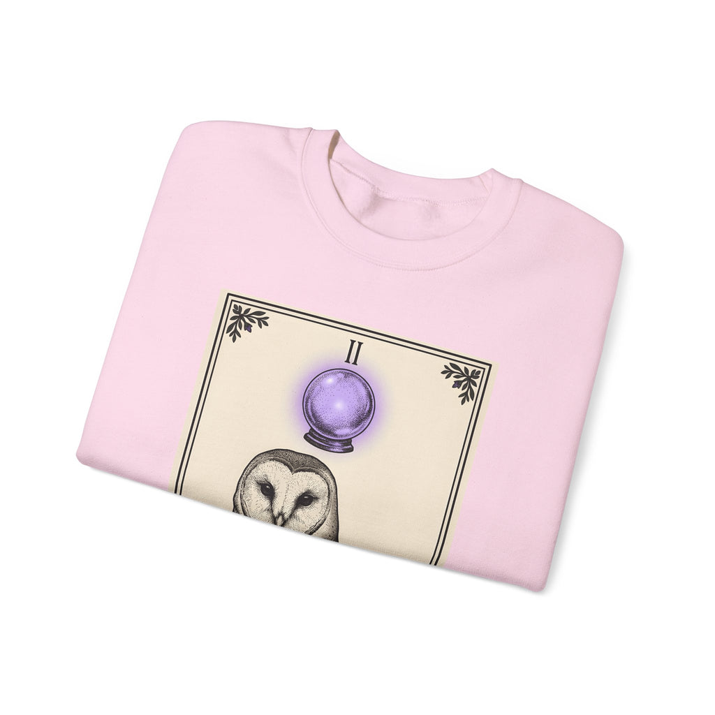 Barn Owl Sweatshirt Boho Chic Magic Gift Women Oracle Sweatshirt Owl Sweatshirt Bohemian Fan Mystic Sweatshirt Magical Graphic Hand Drawn Glass Sphere Sweatshirt
