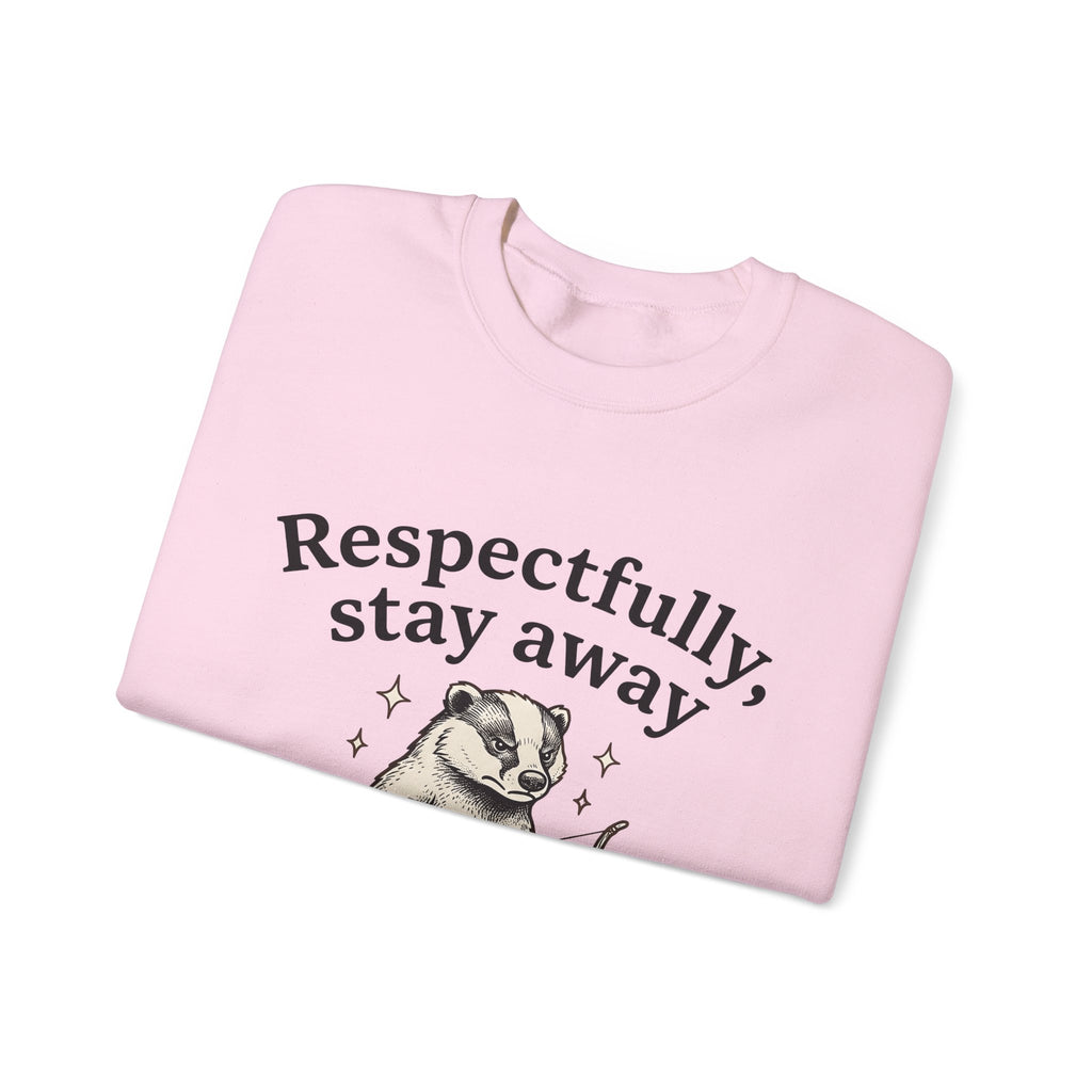 Badger Bow Accessory Sweatshirt Funny Fauna Gift Women Cartoon Sweatshirt Hair Bow Sweatshirt Humor Fan Comic Sweatshirt Wildlife Graphic Old School Glimmers