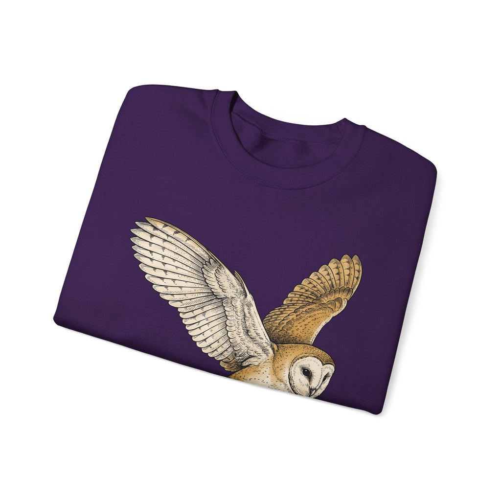 Barn Owl Sweatshirt Christmas Pets Gift Women Cartoon Sweatshirt Owl Sweatshirt Xmas Fan Owl Sweatshirt Animal Graphic Classic Globe Lights Sweatshirt