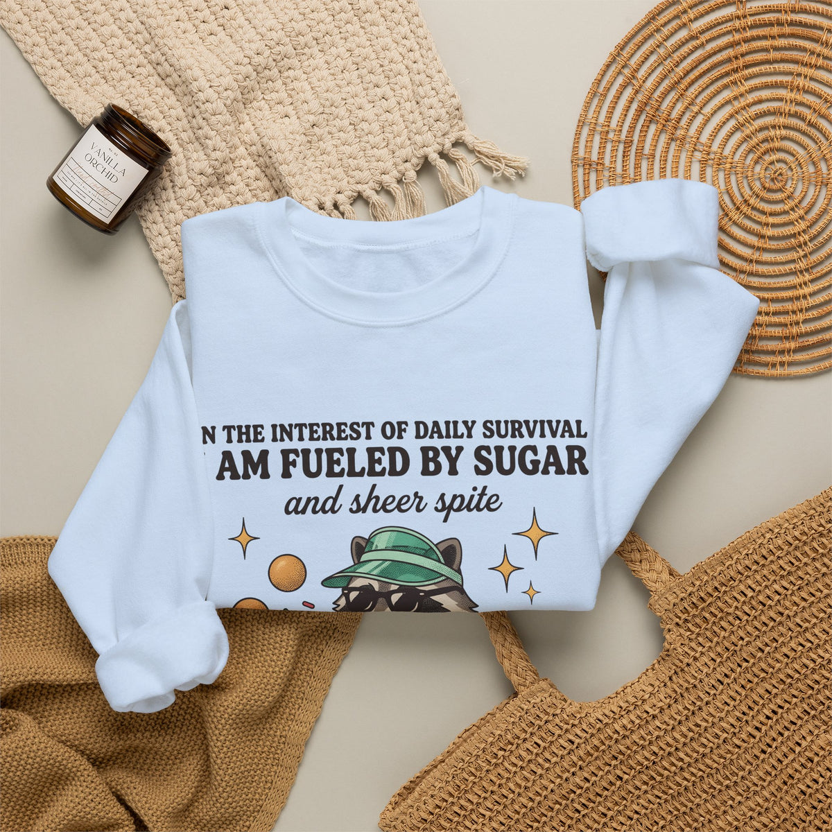 Raccoon Pastry Sweatshirt Desserts Wildlife Gift Women Comic Sweatshirt Pastry Chef Sweatshirt Sweets Fan Cartoon Sweatshirt Animal Graphic Vintage Candy Dots