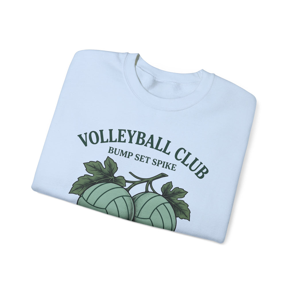 Volleyballs Sweatshirt Volleyball Crew Gift Women Sketch Sweatshirt Beachball Sweatshirt Volleyball Fan Volleyball Drawing Graphic Sweatshirt Line Art Whistles