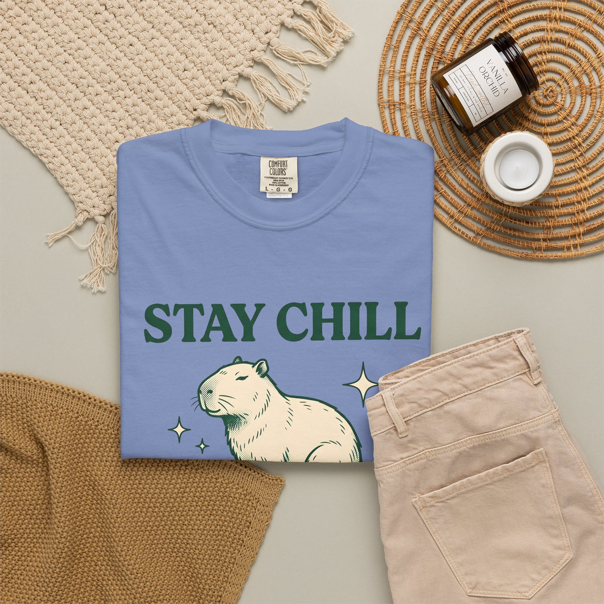 Capybara T-Shirt Capybara Creatures Gift Women Sketch T-Shirt Rodent T-Shirt Capybara Fan Guinea Pig T-Shirt Animal Graphic Cartoon Lotus Leaf