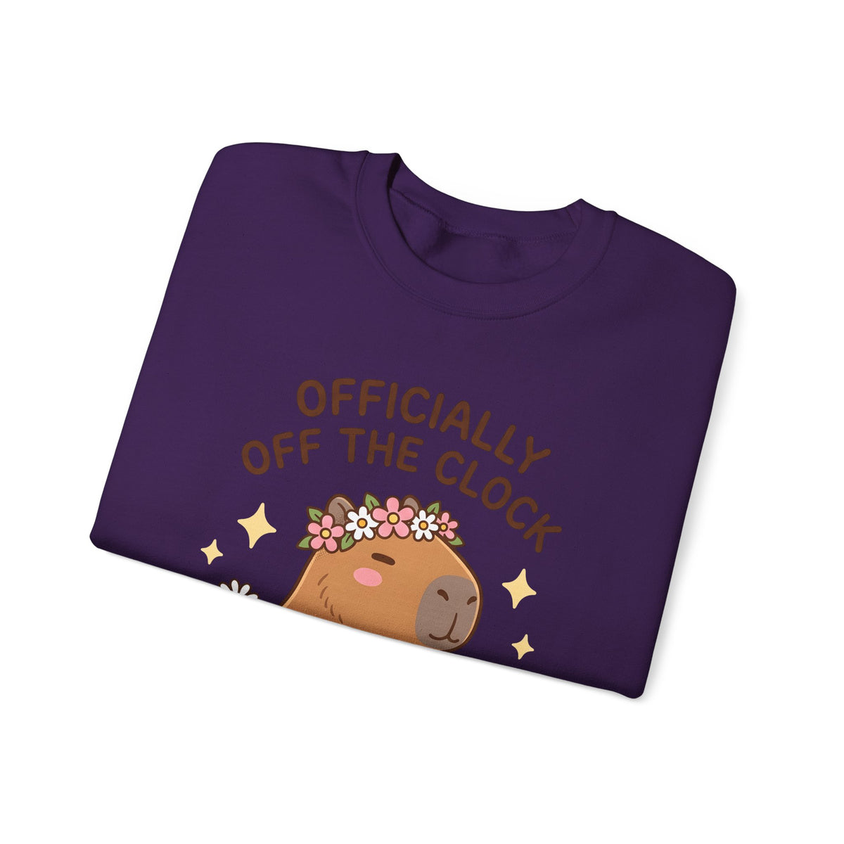Capybara Coffee Sweatshirt Nurses Animal Gift Women Cute Sweatshirt Coffee Sweatshirt Nurse Enthusiast Adorable Sweatshirt Wildlife Graphic Cartoon Daisies