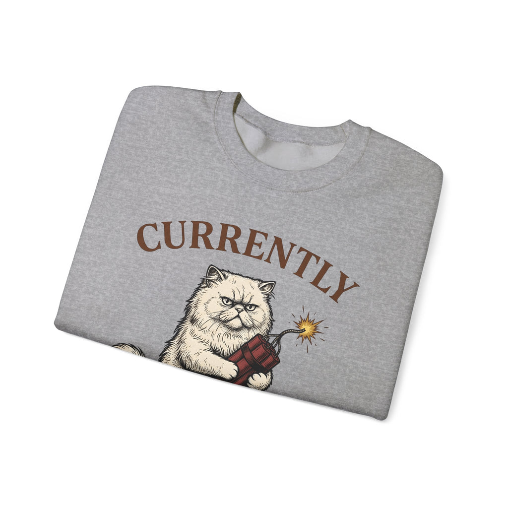 Upset Cat Sweatshirt Funny Wildlife Gift Women Old School Sweatshirt Angry Cat Sweatshirt Humor Fan Vintage Sweatshirt Animal Graphic Doodle Explosion Sweatshirt