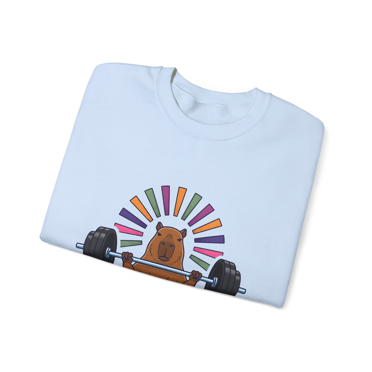 Capybara Gym Training Sweatshirt Sports Pets Gift Women Hand Drawn Sweatshirt Rodent Sweatshirt Athlete Enthusiast Illustrated Pet Graphic Classic Rainbow