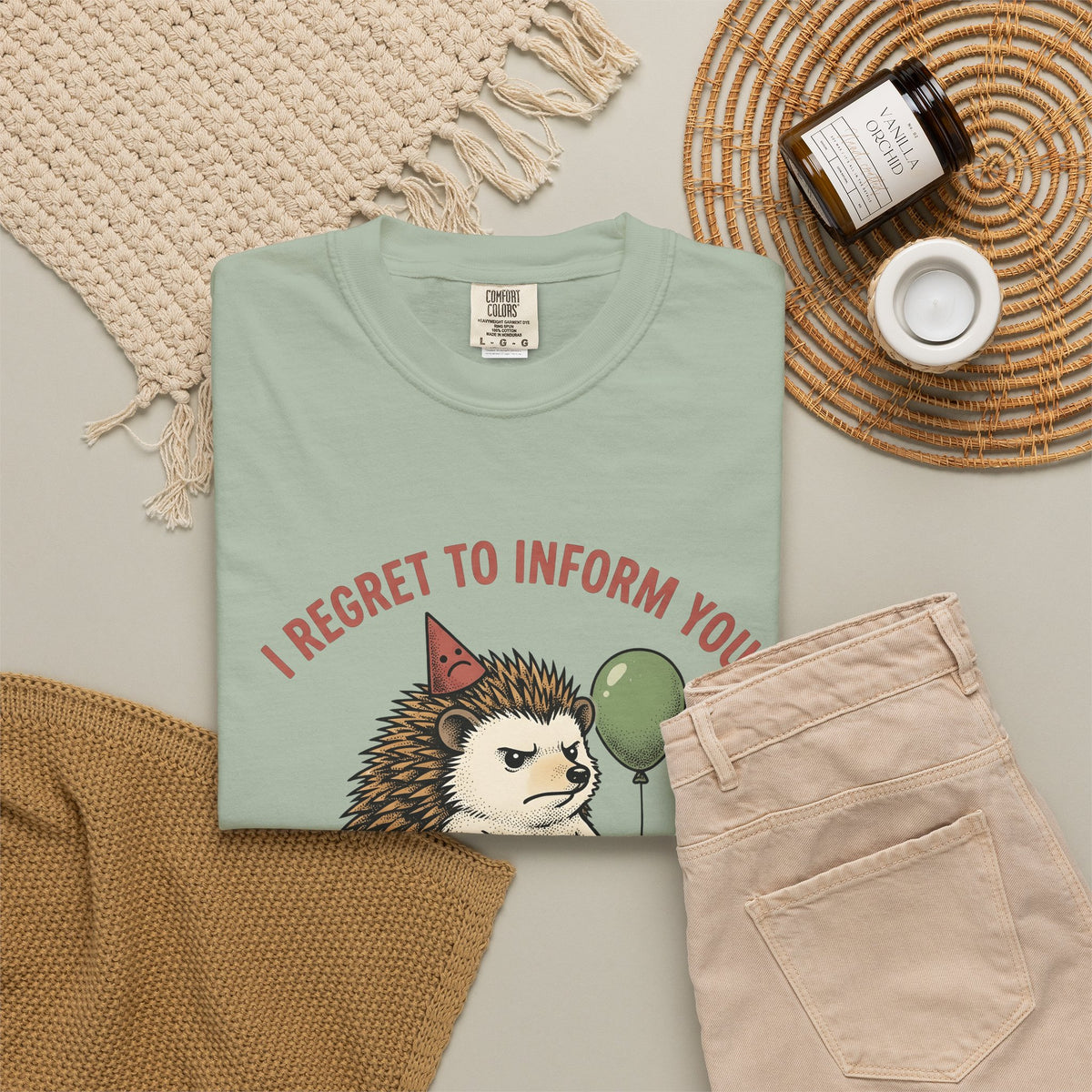 Hedgehog Art T-Shirt Funny Creatures Gift Women Whimsical T-Shirt Porcupine T-Shirt Humor Fan Cartoon T-Shirt Animal Graphic Sketch Balloon T-Shirt