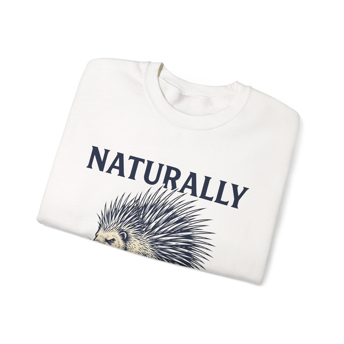 Porcupine Sweatshirt Animal Pun Humor Gift Women Hand Drawn Sweatshirt Hedgehog Sweatshirt Pun Fan Hand Drawn Sweatshirt Funny Graphic Vintage Quills Sweatshirt