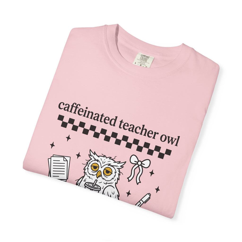 Coffee Owl T-Shirt Teacher Pets Gift Women Kawaii T-Shirt Owl T-Shirt Educator Enthusiast Cute T-Shirt Animal Graphic Hand Drawn Twinkles T-Shirt
