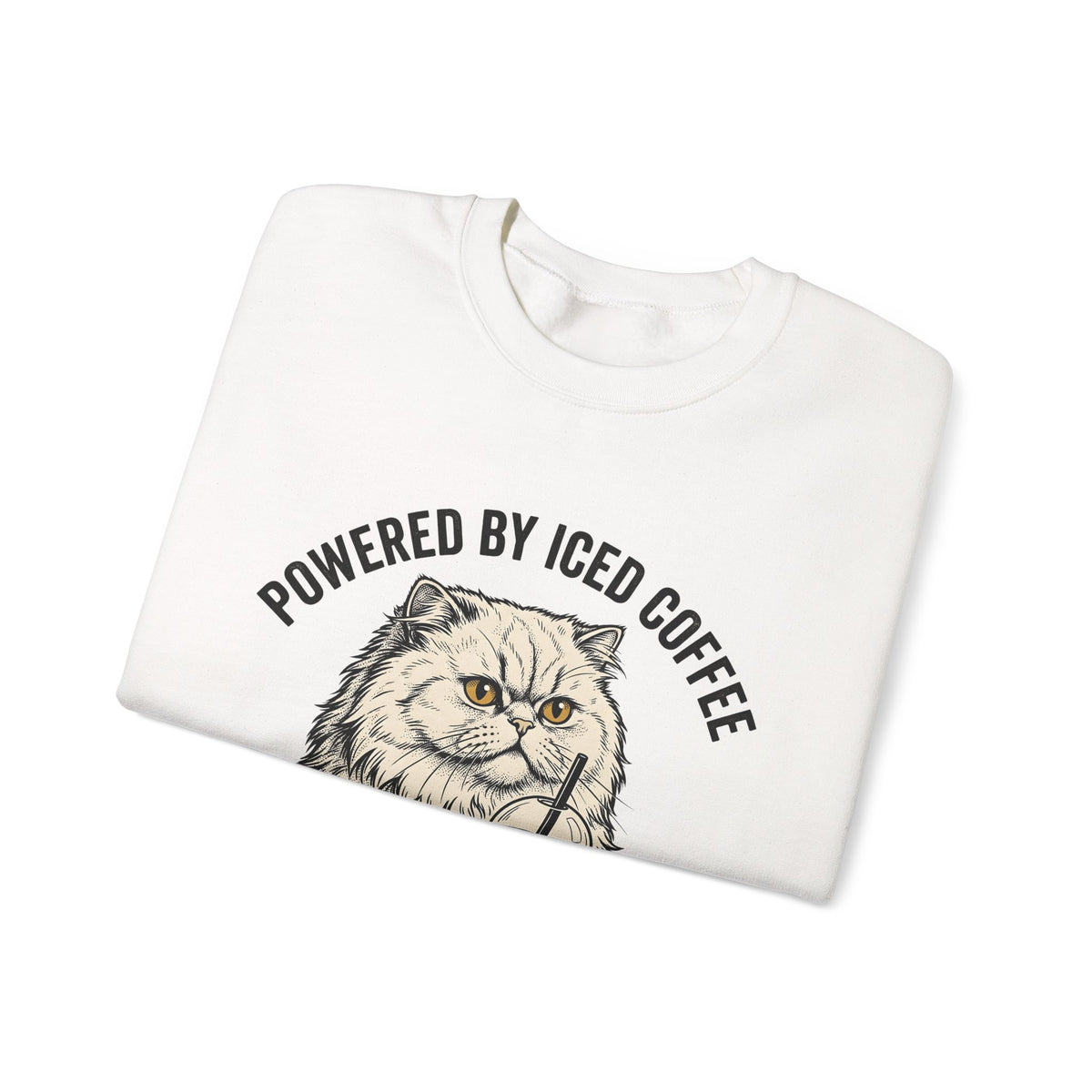 Persian Cat Coffee Sweatshirt Coffee Animals Gift Women Hand Drawn Sweatshirt Persian Cat Sweatshirt Coffee Fan Illustrated Sweatshirt Pet Graphic Vintage Iced